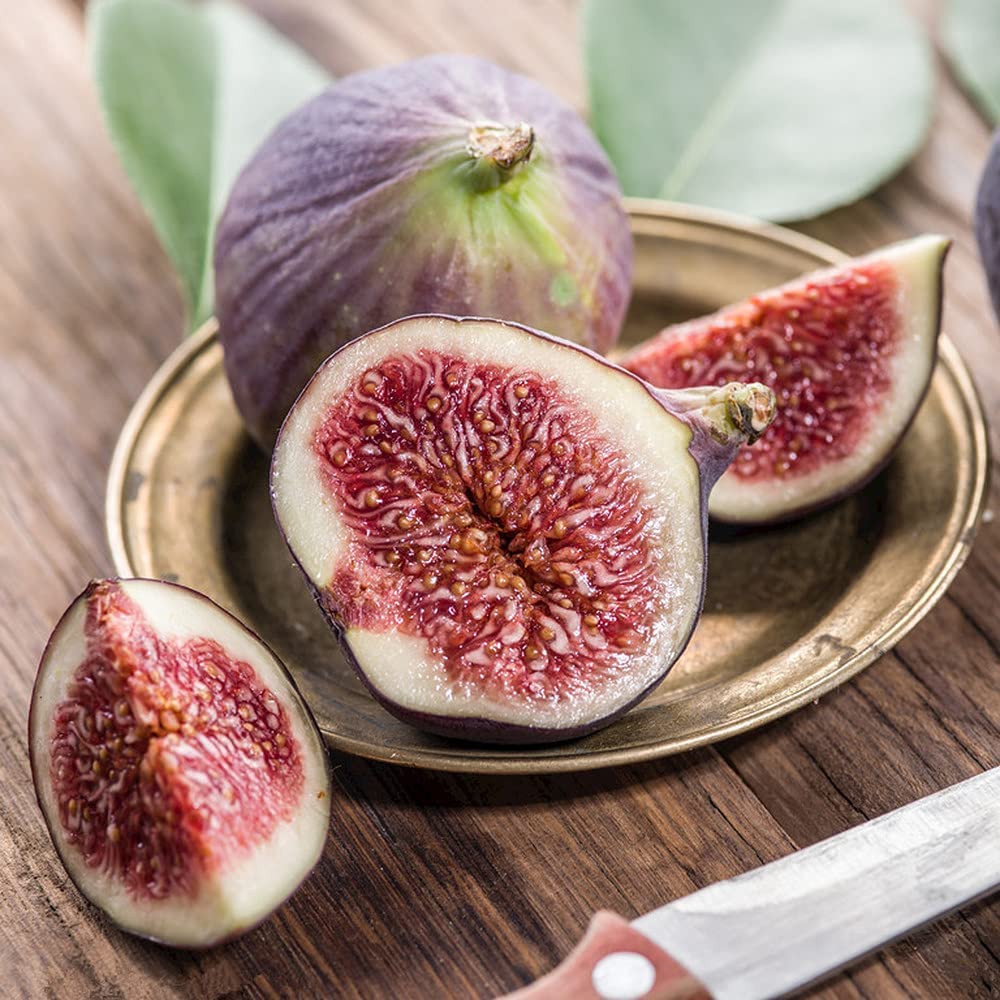 Four Seasons Sweet Honey Fig Seeds for Balcony Gardens