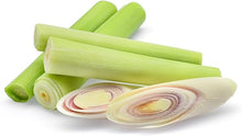 Lemongrass Plant Seeds (Cymbopogon citratus) for growers filling out the Herb Vegetable Patch