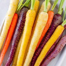 Mixed Color Carrot Seeds for a fresh homegrown crop from the Home Vegetable Gardens – + Seeds
