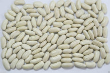 White Kidney Bean (Phaseolus vulgaris) for planting in home garden