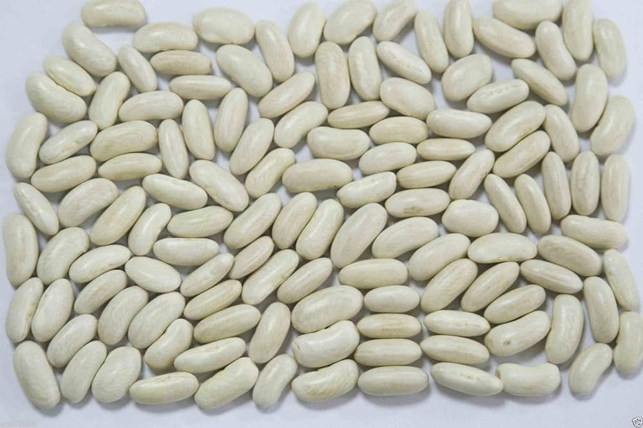 White Kidney Bean (Phaseolus vulgaris) for planting in home garden