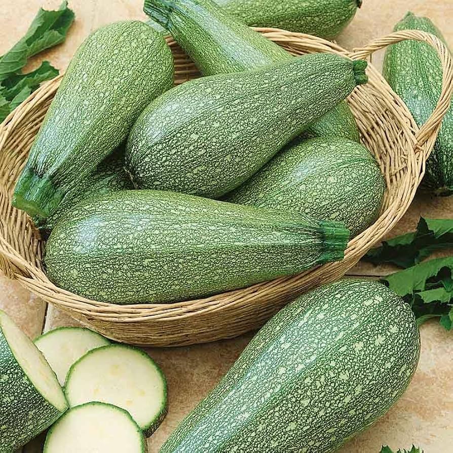 Zucchini Harvest for planting in home garden.