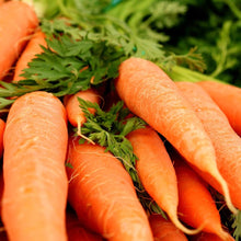 Carrot Seeds (Daucus carota) for a fresh homegrown crop from the Pack in Kitchen Garden