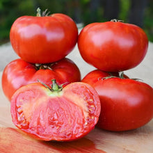 Beefsteak Tomato Seeds (Solanum lycopersicum) for productive rows in the kitchen garden and containers