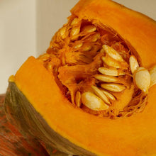 Pumpkin Apple Squash Seeds for growers stocking a kitchen garden