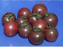 Tomato Solanum Lycopersicum Chocolate Cherry Seeds for a reliable harvest in the Patio Garden Pots