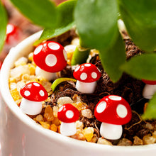 Mini Red Mushroom garden ornament Seeds for colorful blooms in the micro garden decor and indoor plant accents