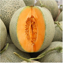 Delicious 51 Melon Seeds (Cucumis melo) for a fresh homegrown crop from the Vegetable Patch & Urban Garden
