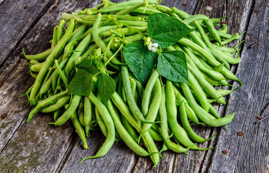 Stick Beans Vegetable Plant Seeds for planting in vegetable patch