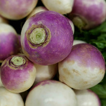 Purple Top Rutabaga Seeds (Brassica napus) known for microgreens or Root Planting