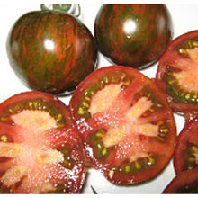 Black Zebra Tomato Seeds (Solanum lycopersicum) prized among growers for unique, striped heirloom tomatoes with rich, tangy flavor