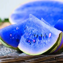 Blue Watermelon Seeds (Citrullus lanatus) for growers stocking the kitchen garden and backyard