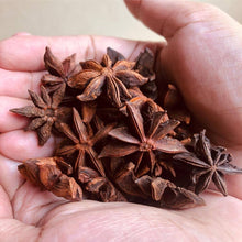 Anise Myrrhis Odorata Seeds for growers filling out the Herb Garden