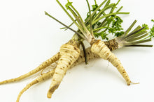 Hamburg Rooted Parsley Seeds (Petroselinum crispum) for cooks growing the kitchen herb garden