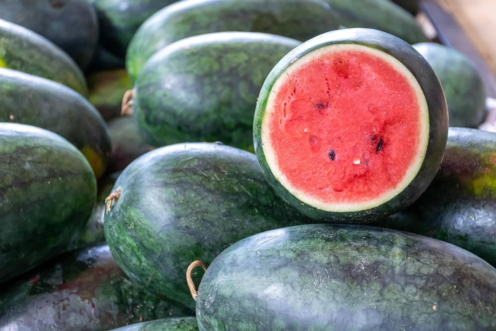 Watermelon Harvest for planting in home garden.