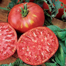 Organic Brandywine Tomato Seeds for a reliable harvest in the Gardens