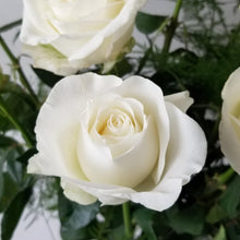 Rose Seeds for seasonal color across the Timeless Garden Elegance