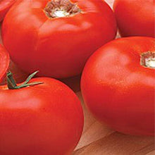 Green Giant Tomato Seeds known for fresh Salads