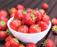 Toscana Strawberry Seeds for growers planting the Balcony Home Garden