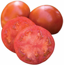 Sweet Chelsea Tomato Seeds for growers stocking a kitchen garden