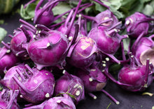 Lila Vienna Kohlrabi Seeds for a colorful addition to any planting