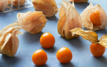 Ground Cherry Seeds (Physalis pruinosa) for growers planting the kitchen garden and edible backyard planting