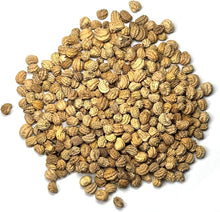 Nasturtium Coir Basket Hybrid Seeds for seasonal color across the Container Gardens