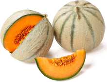 Ivory Gaya Melon Seeds for a fresh homegrown crop from the Garden