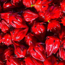 Florida Cranberry Seeds (Vaccinium vitis-idaea) for a homegrown harvest from the home gardens and berry patches