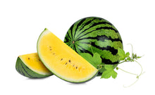 Yellow Baby Doll Watermelon Seeds (Citrullus lanatus) for a fresh homegrown crop from the home garden and backyard planting