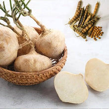 Yam Seeds for growers filling out the Home Garden Harvest
