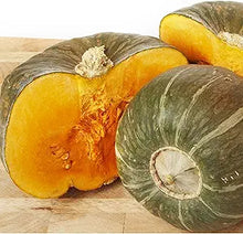 Winter Squash Seeds prized among growers for gardening