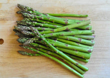 Asparagus Seeds (Asparagus officinalis) for a fresh homegrown crop from the home garden and raised beds