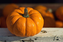 Jack Be Little Pumpkin Seeds for a productive addition to the vegetable patch