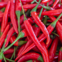 Cayenne Long Red Slim Pepper Seeds for a productive addition to the vegetable patch
