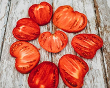Trinidad Pimento Seeds (Capsicum chinense) for a reliable harvest in the Garden