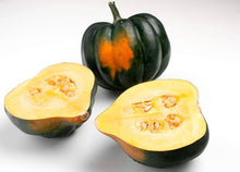 Table King Acorn Squash Seeds for a productive addition to the vegetable patch