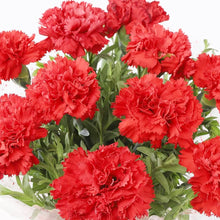 Dianthus Dianthus Caryophyllus Seeds for growers seeking a long-blooming display