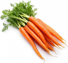 Carrot Daucus Carota and Radish Raphanus Sativus Orange Seeds for a fresh homegrown crop from the Raised Beds