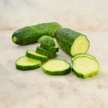 Market Cucumber Seeds for a reliable harvest in the Garden Use