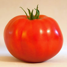 Caribe Heirloom Tomato Seeds (Solanum lycopersicum) prized among growers for tropical heirloom tomatoes with vibrant color and rich taste