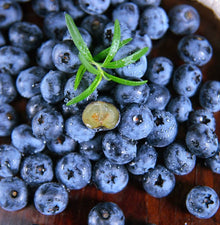 Blueberry seeds – Vaccinium spp. – for planting in edible home garden