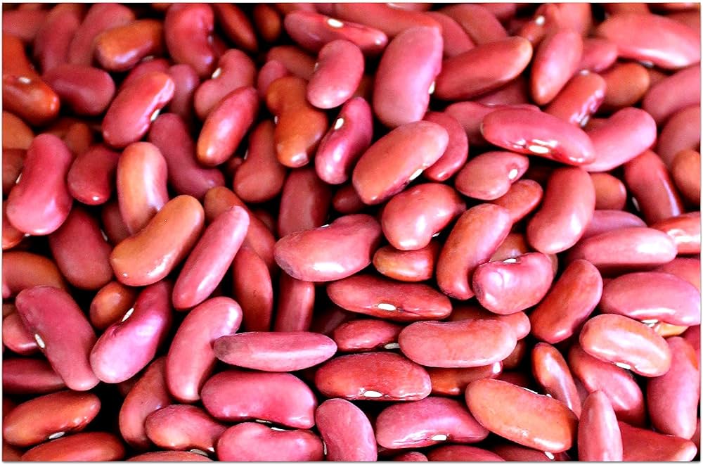 Heirloom Non-GMO Dark Red Kidney Beans Seeds