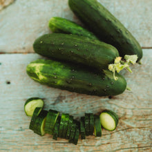 Market Cucumber Seeds for a reliable harvest in the Garden Use