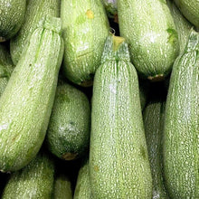 Carnival F1 Squash Seeds for home growers seeking a reliable harvest