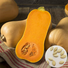 Smoothie Orange Pumpkin Seeds valued by growers for cooking
