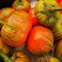 Eggplant Solanum Melongena Rare Melon Seeds prized among growers for kitchen Urban Farming