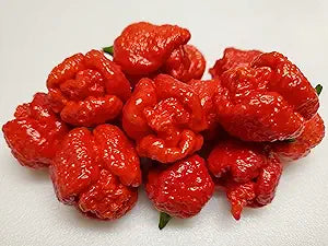 Trinidad Scorpion Moruga Pepper seeds for hot peppers
