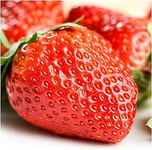 Organic Strawberry seeds for growing sweet berries