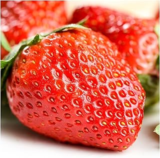 Organic Strawberry seeds for growing sweet berries